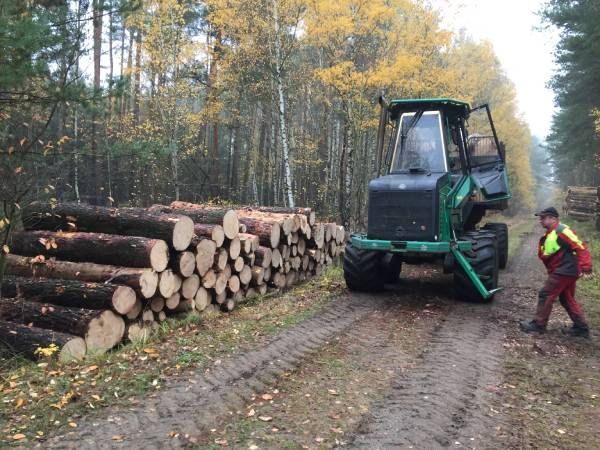 Garten- & Landschaftspflege Fa. Torsten Marks