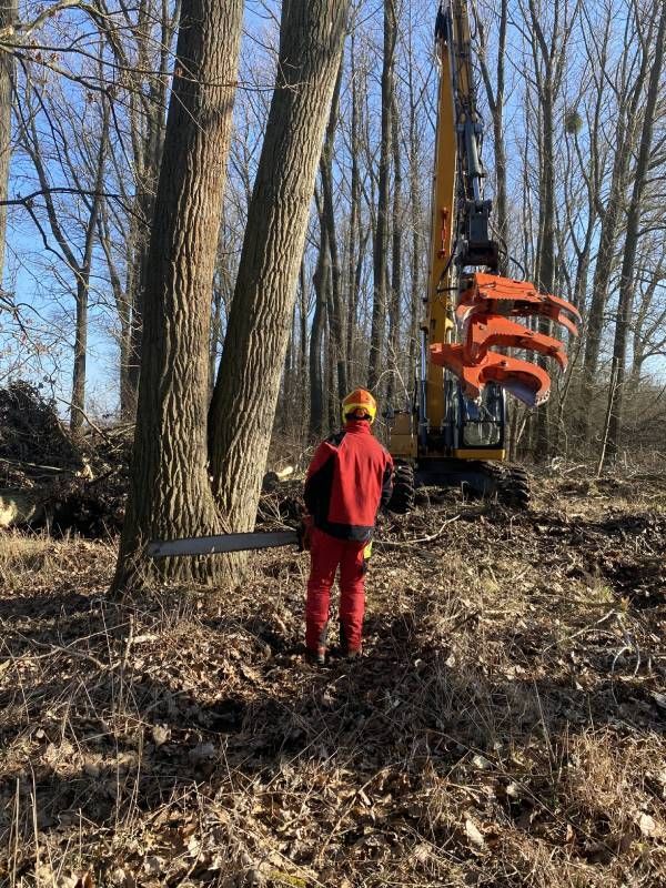 Garten- & Landschaftspflege Fa. Torsten Marks