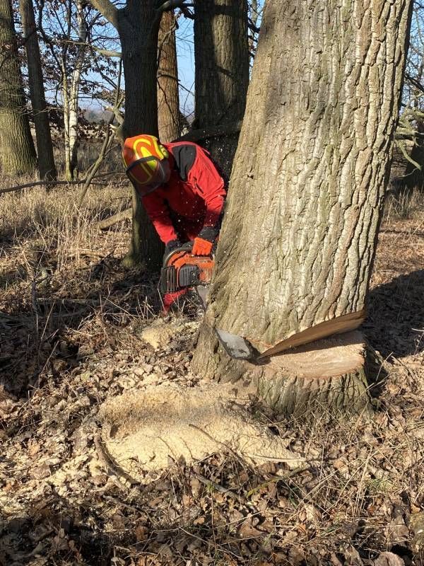 Garten- & Landschaftspflege Fa. Torsten Marks
