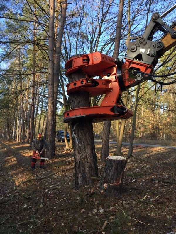 Garten- & Landschaftspflege Fa. Torsten Marks