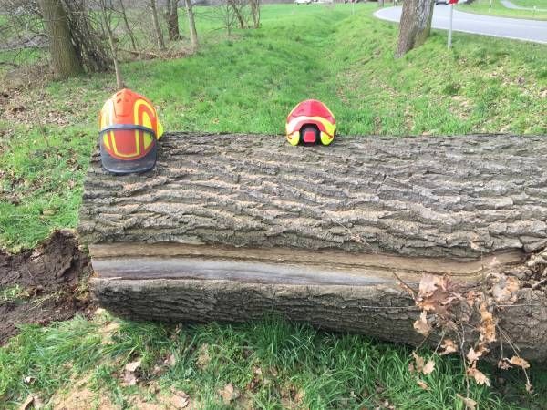 Garten- & Landschaftspflege Fa. Torsten Marks