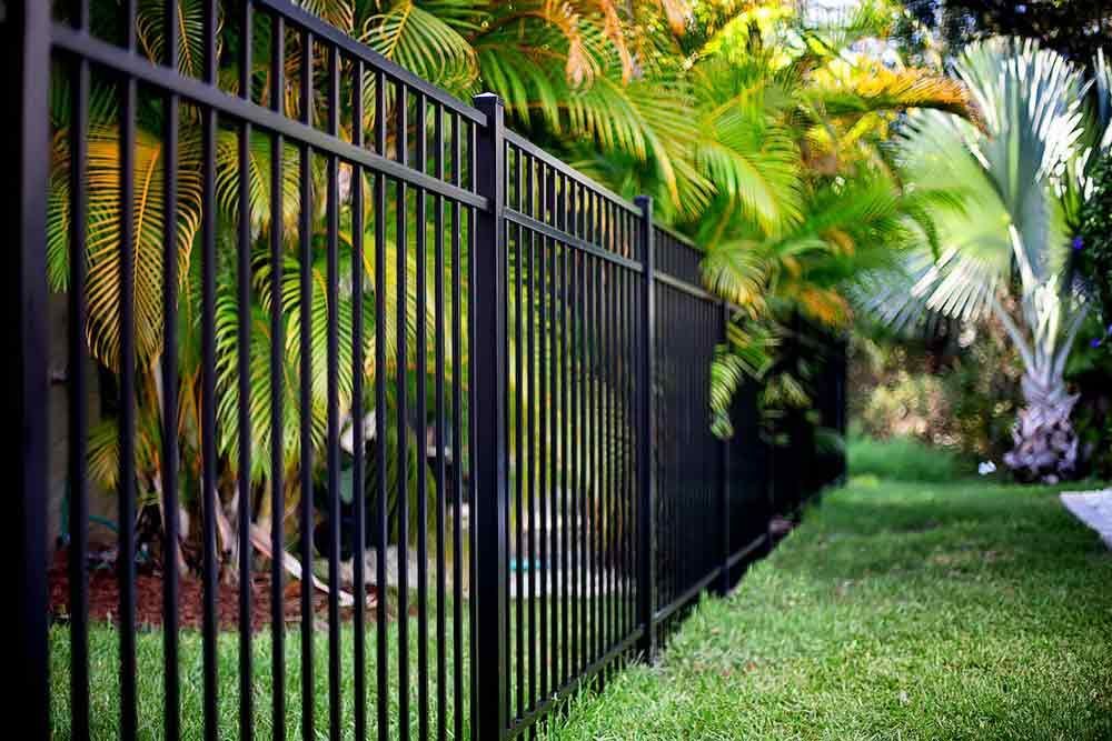 Une clôture devant des palmiers