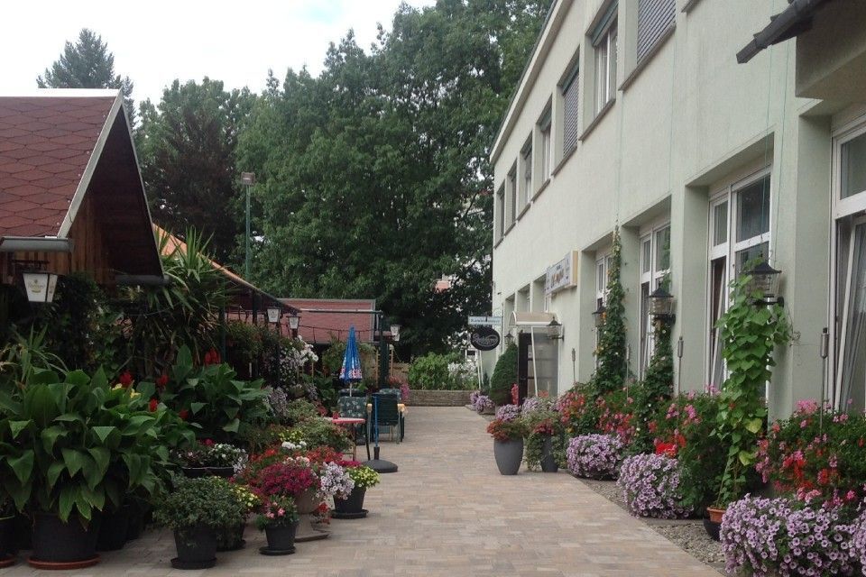 Ein gepflasterter Gehweg mit Blumentöpfen, der zwischen einem hellgrünen Gebäude und einem Holzschuppen hindurchführt.