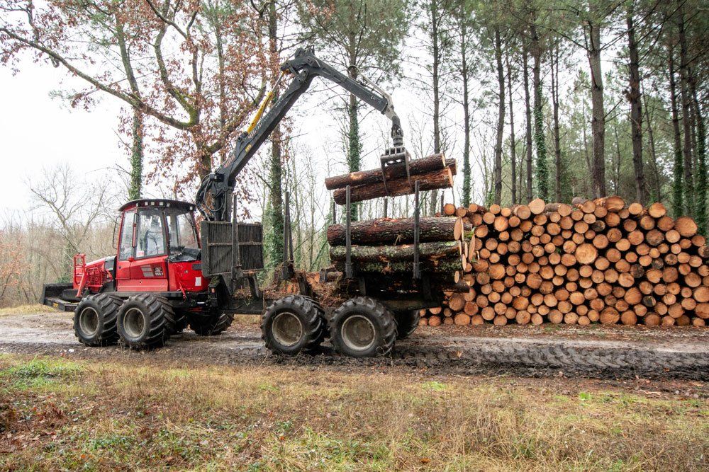 Machine qui transpose des rondins de bois sur une remorque dans une forêt