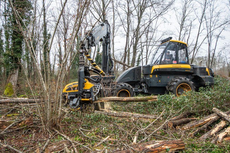 Engin tronçonneuse en plein débitage d'un tronc