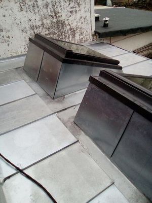 Puits de lumière métalliques sur un toit plat, avec des tuiles grises et des finitions foncées.