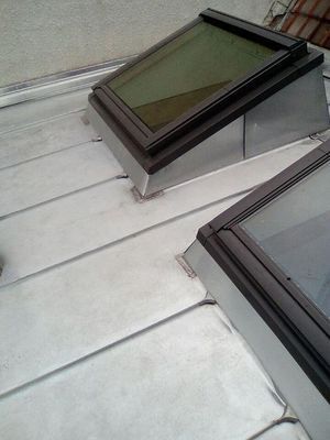 Deux puits de lumière sur un toit en métal, vue en biais. Les cadres des puits de lumière sont noirs, le verre est teinté. Le métal est argenté.