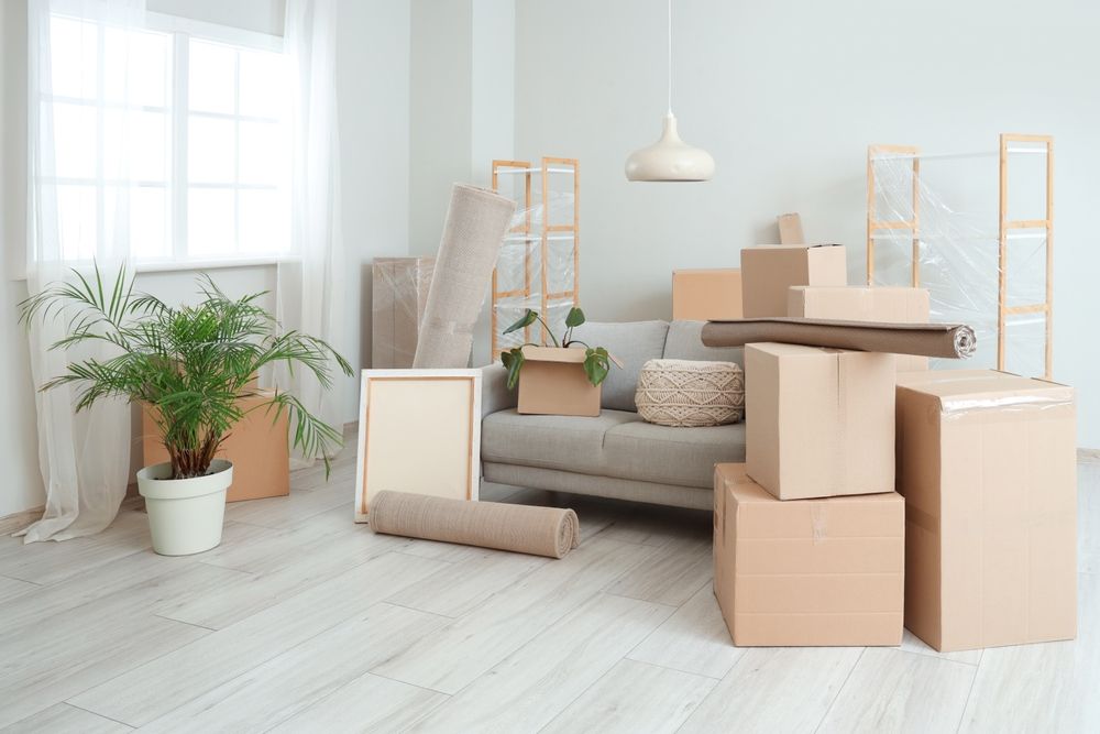Sala de estar con cajas de mudanza, muebles embalados y una planta en maceta a plena luz del día.