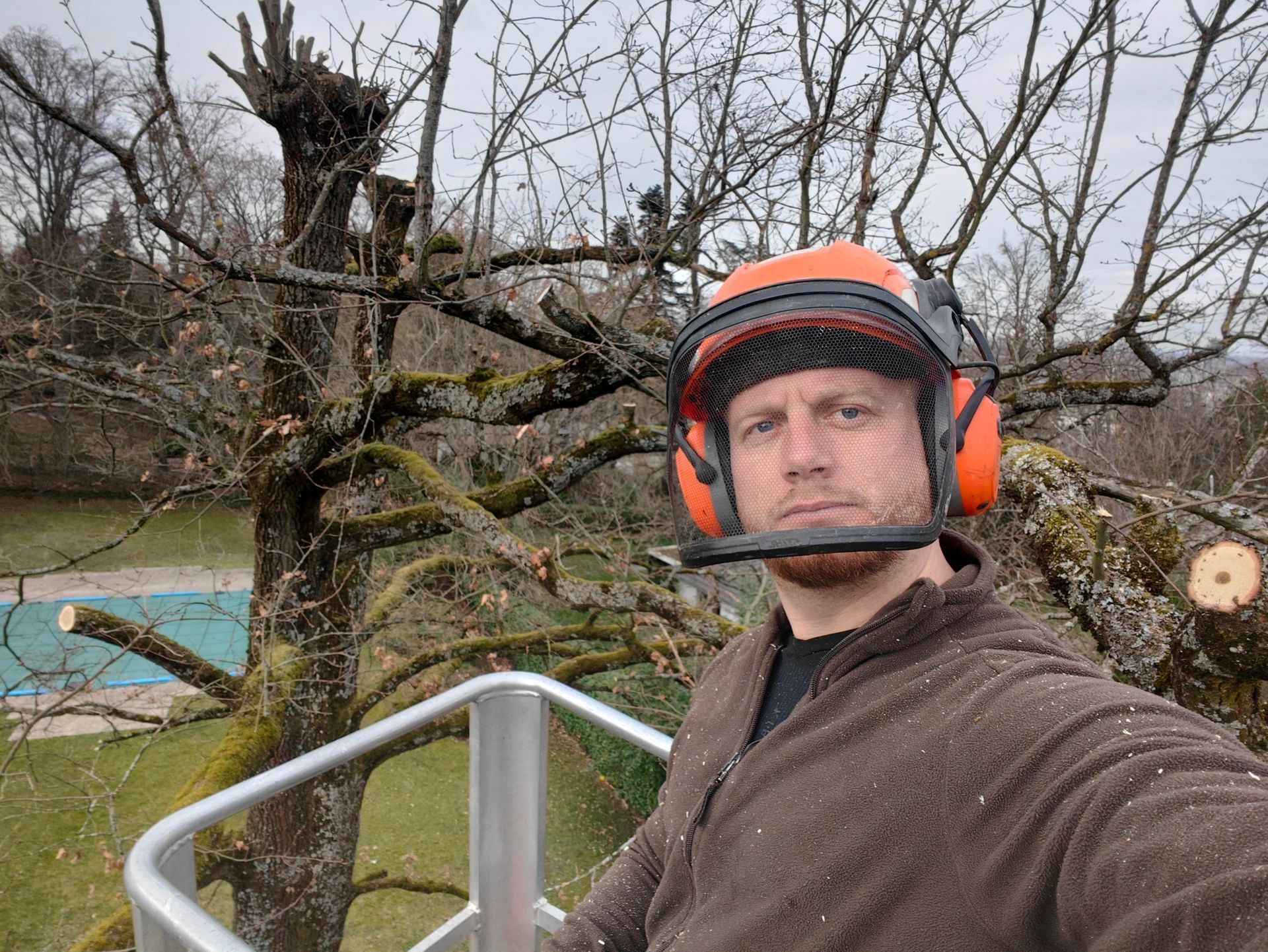 Karl Eddy qui élague un arbre