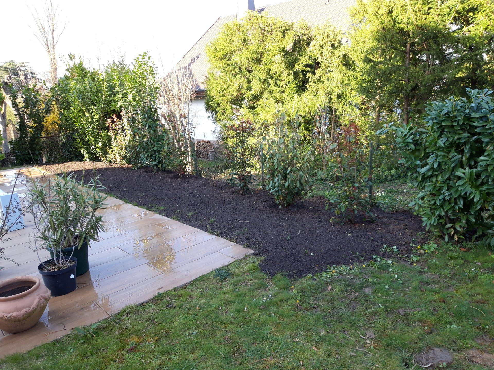 Création d'un parterre avec plantation d'arbustes
