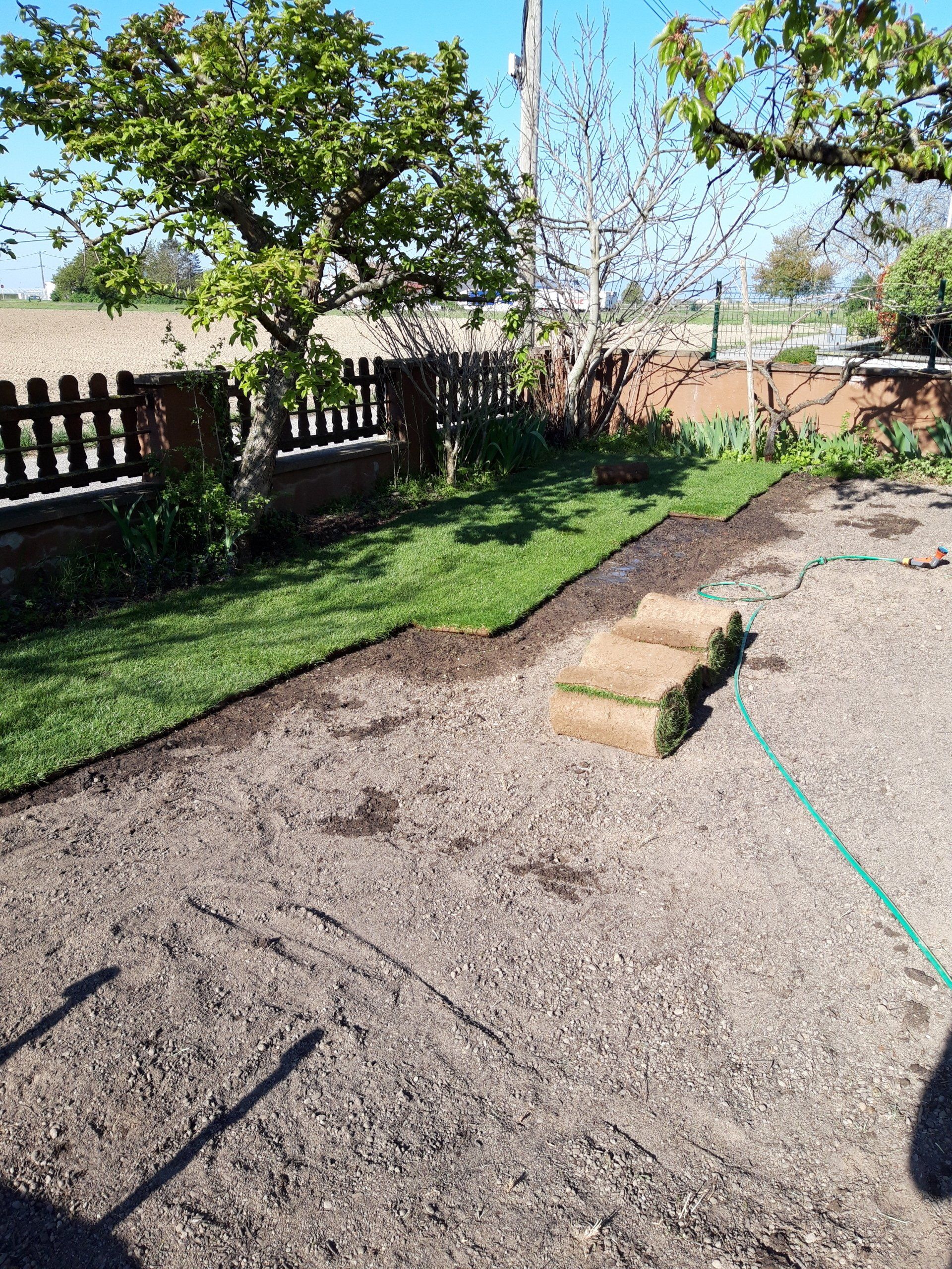 Création de pelouse - avant