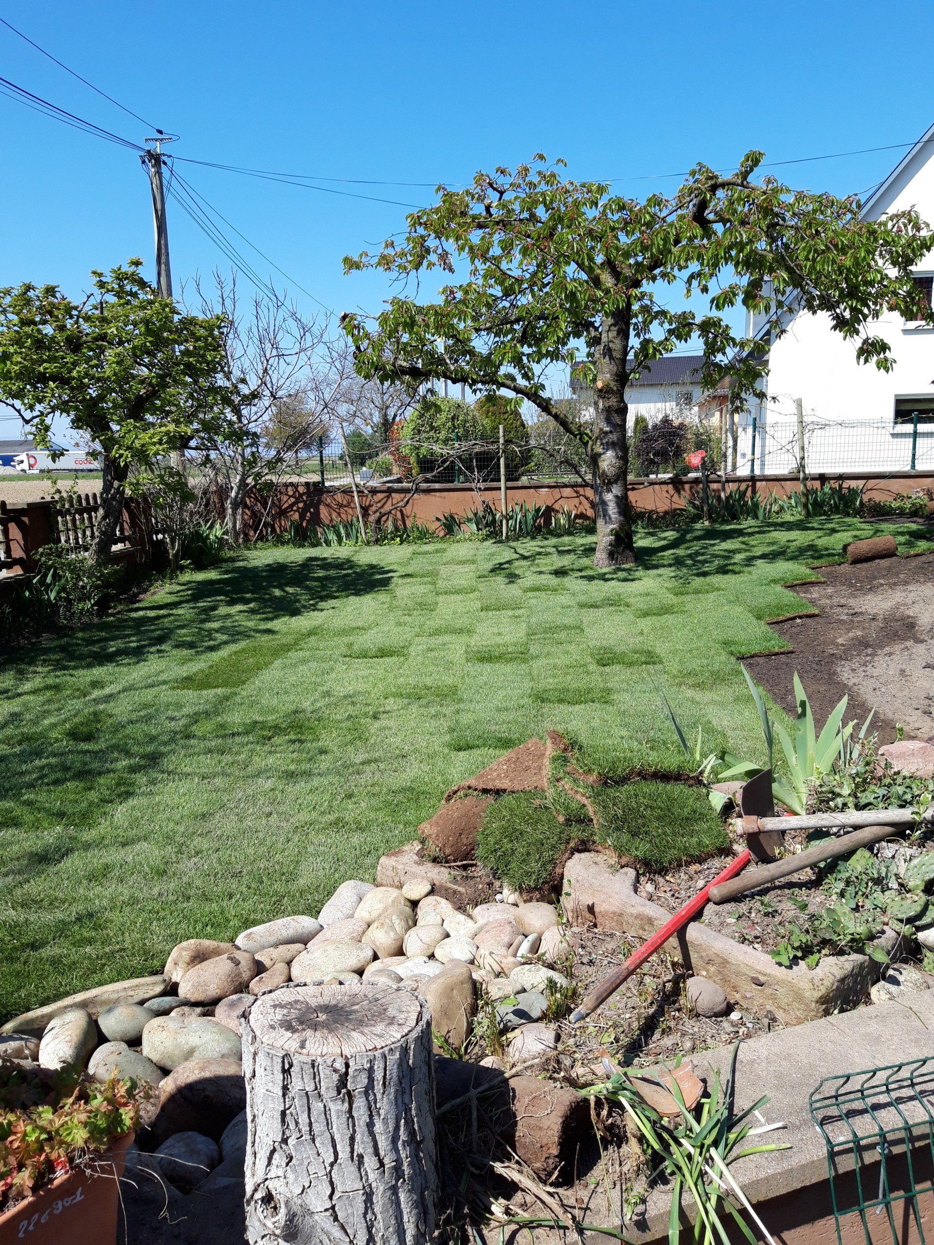 Création de pelouse - après