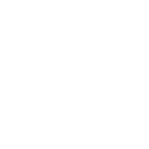 Icon Telefon