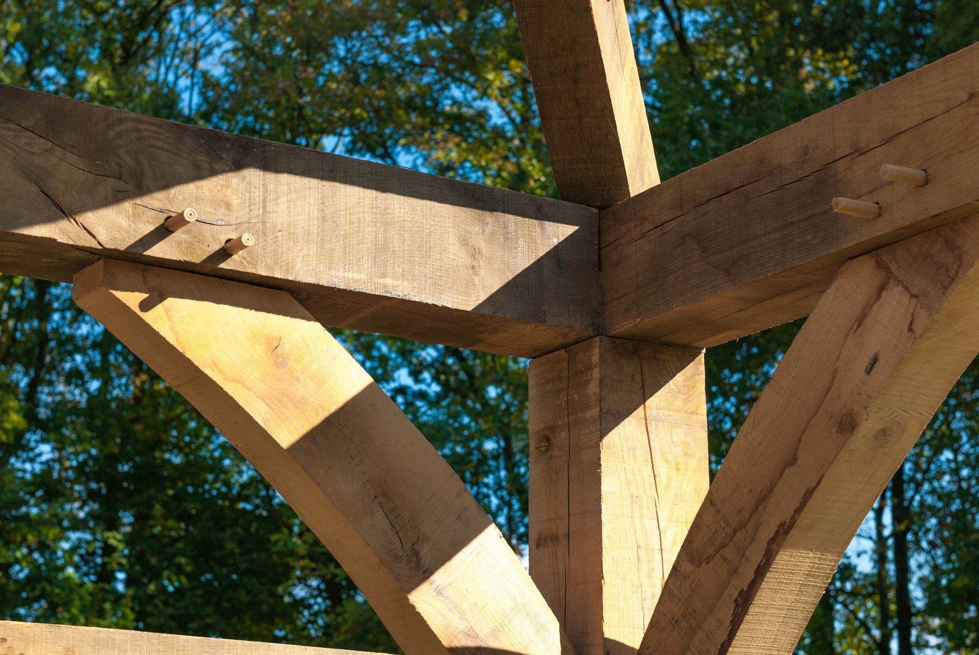Des poutres en bois assemblées en angle se détachent sur un fond d'arbres et de ciel bleu.