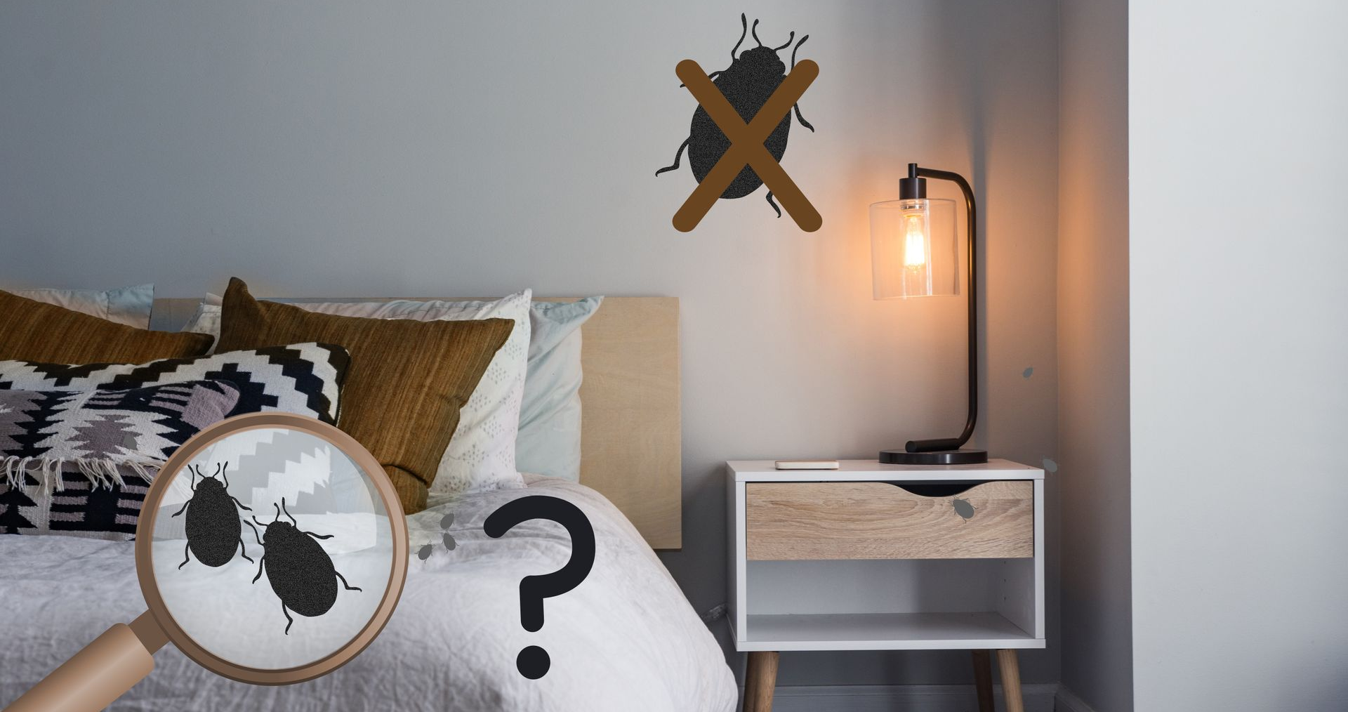 Scène de chambre avec une loupe au-dessus de punaises de lit, une punaise de lit barrée sur le mur et un point d'interrogation.