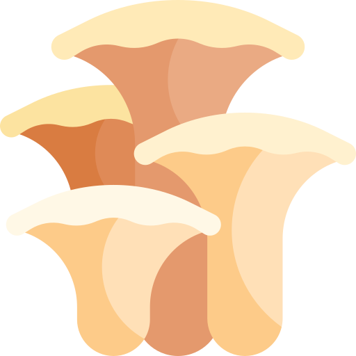 Groupe de chanterelles dorées de tailles et de nuances variées.