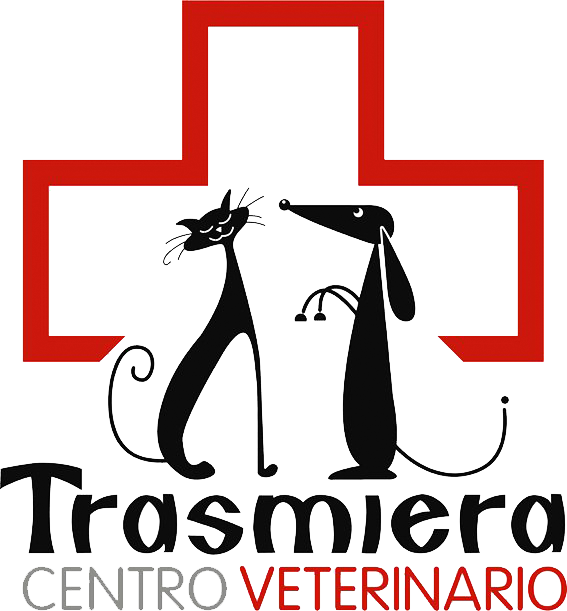 logotipo cabecera
