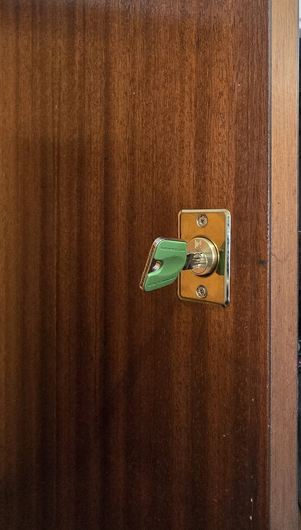 Poignée de porte en acier