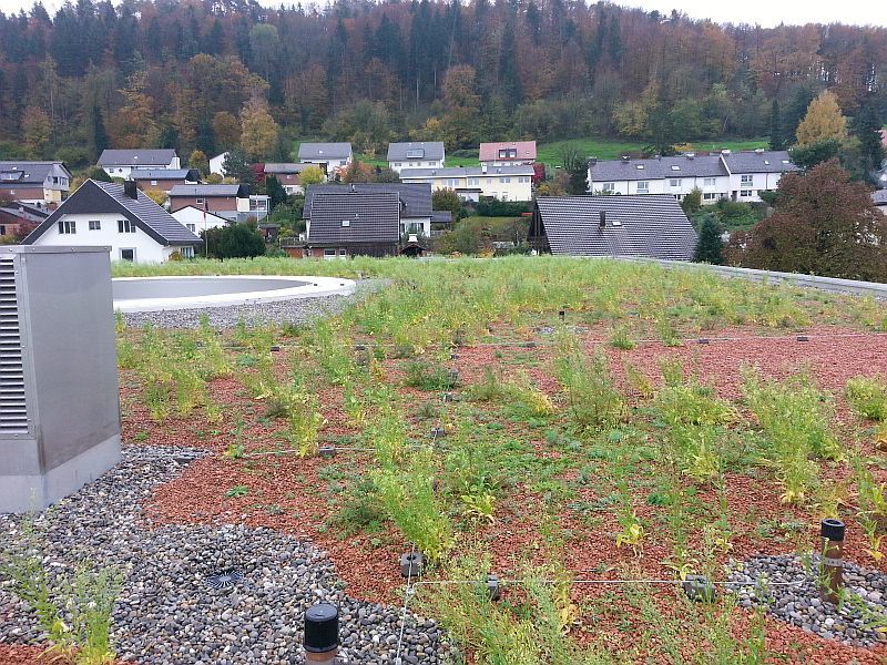 Arbeiten am Flachdach - Zasag AG - Eglisau