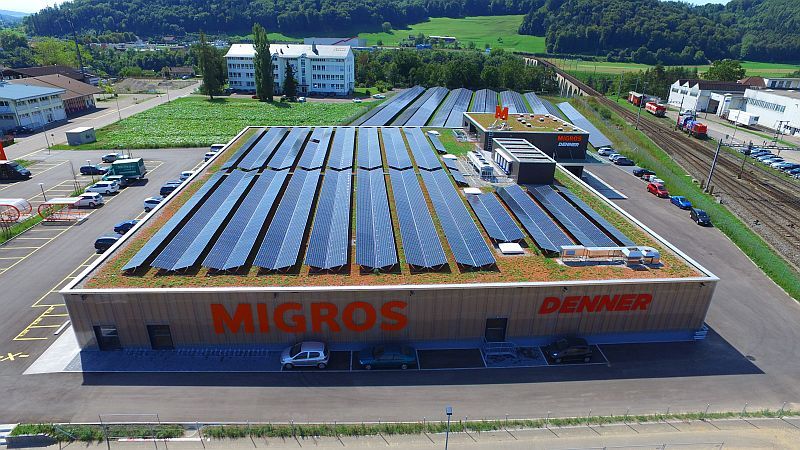 Flachdach mit Solaranlage - Zasag AG - Eglisau