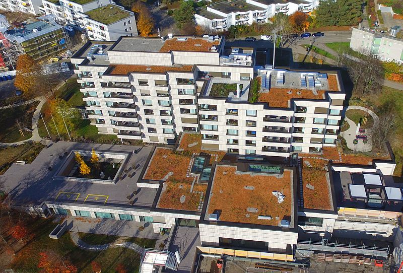 Flachdach - Zasag AG - Eglisau