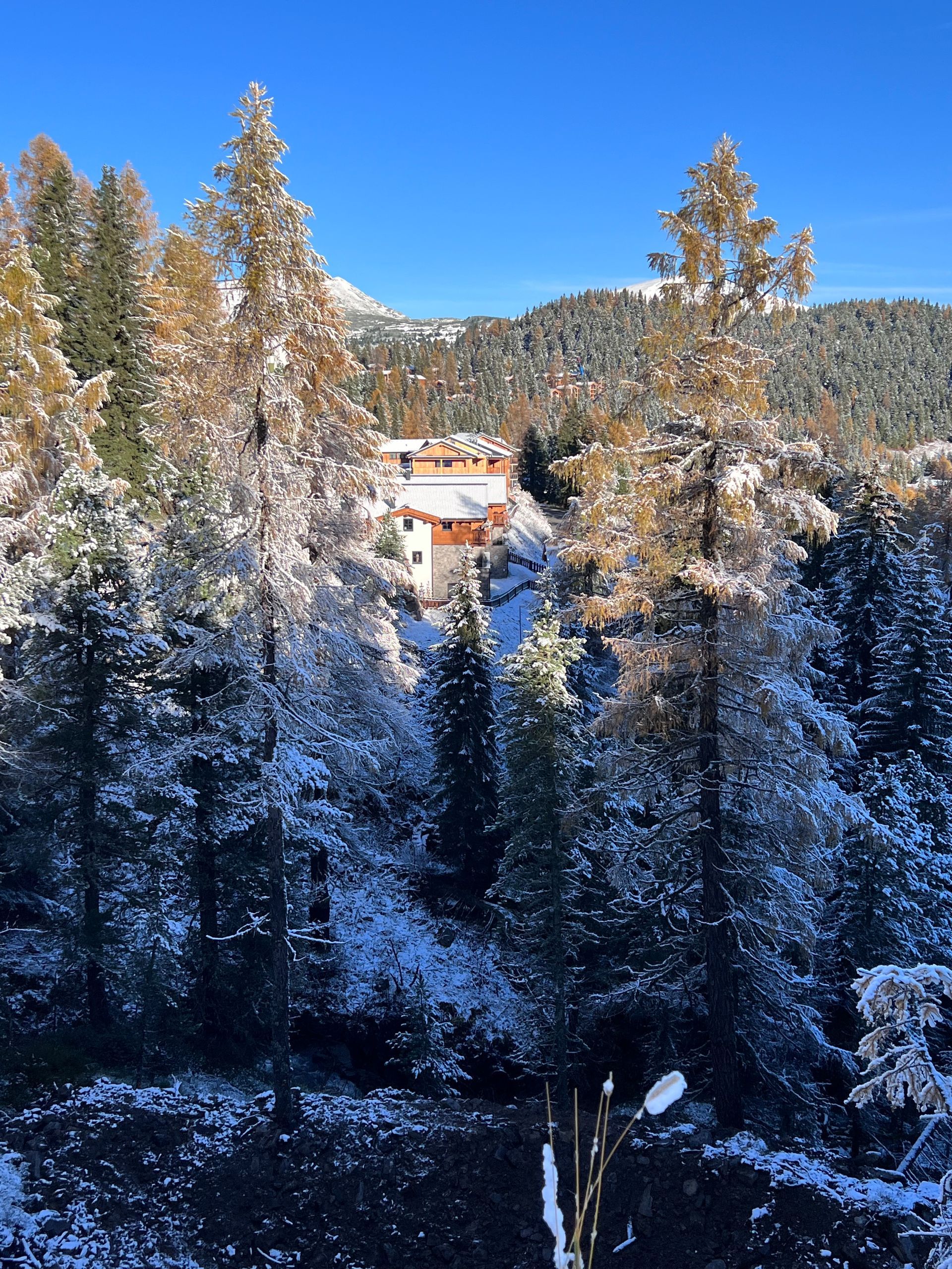 Panoramaaussicht | Turracher Zirbenlodges