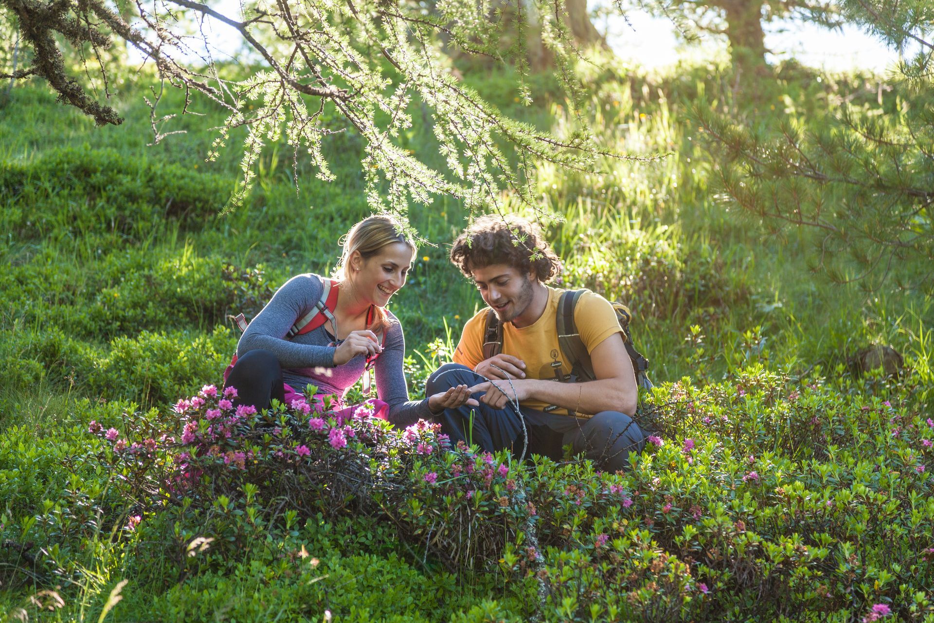 Paar sitzt auf einer grünen Wiese. Sonniger Tag, blühende Pflanzen.