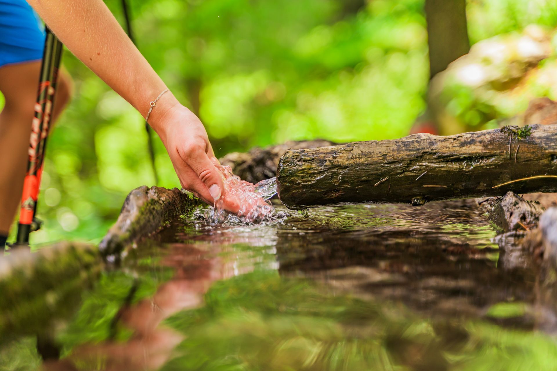 Die Hand einer Person berührt klares Wasser in einer natürlichen Quelle in einer Waldumgebung