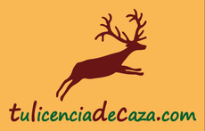 logotipo cabecera