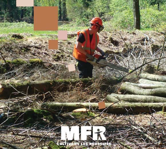 Un forestier en gilet orange utilise une tronçonneuse en forêt.