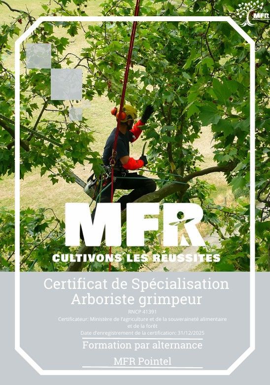 Certificat de formation d'élagueur arboricole. Personne travaillant sur un arbre avec MFR et Cultivons les Reussites.