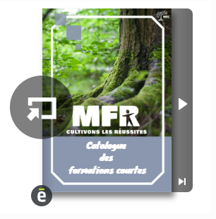 Visuel liseuse de document