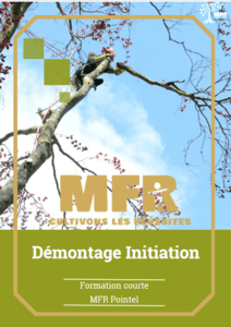 Couverture d'un programme de formation : Arboriste sur un arbre, Initiation au démontage d'arbres par MFR.