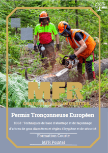 Deux personnes en tenue de sécurité manipulent une tronçonneuse en forêt. Couverture d'un livre avec le texte en français : Permis Tronçonneuse Européen.