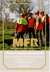 Groupe de travailleurs forestiers en gilets orange et casques de chantier, tronçonneuse, logo MFR, texte : Permis européen de tronçonneuse.