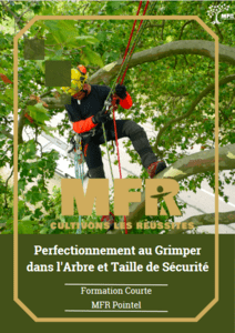 Couverture : Perfectionnement au Grimper... Taille de Sécurité