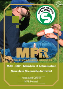 Un homme prodigue les premiers soins à un autre homme ; entraînement SST. Tons verts et bruns.