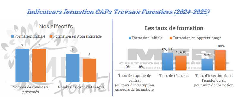 Tableaux explicatifs Indicateurs formation CAPa Travaux Forestiers (2024/2025)