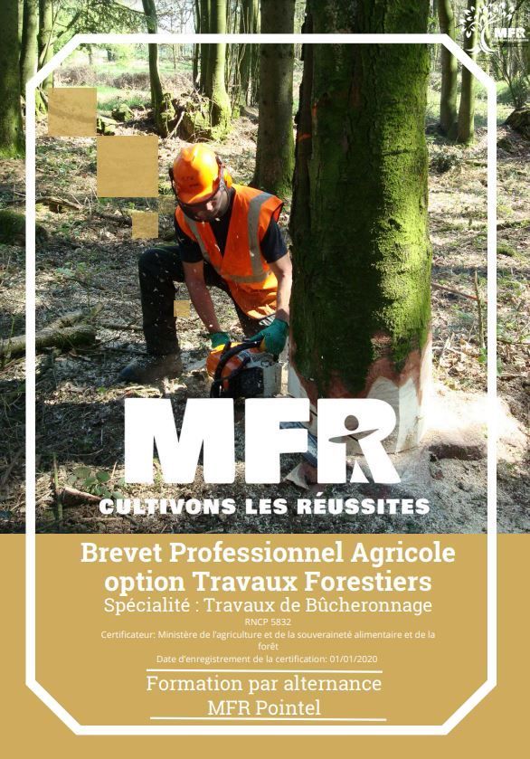 Affiche : un bûcheron coupant un arbre, logo MFR, formation Travaux Forestiers.
