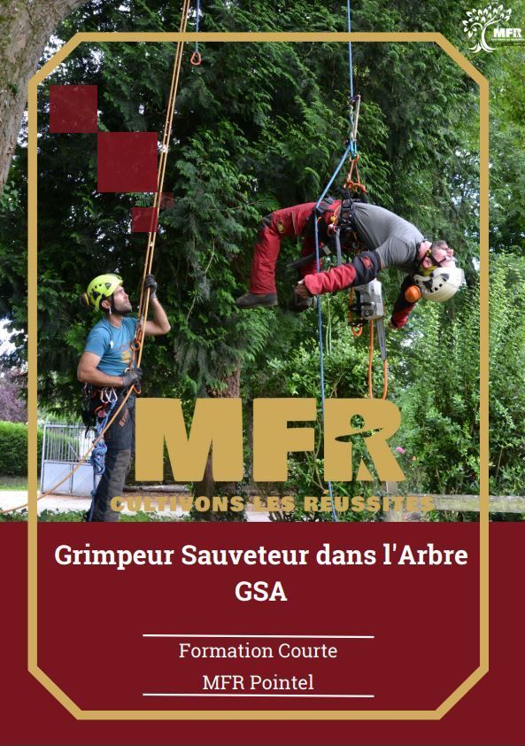 Couverture: GSA - Grimpeur Sauveur dans l'Arbre.