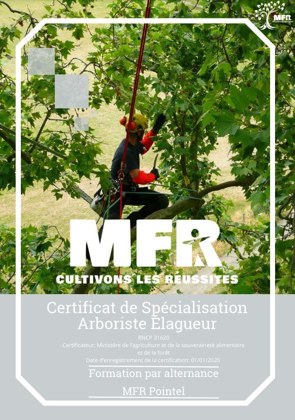 Certificat de formation d'élagueur arboricole. Personne travaillant sur un arbre avec MFR et Cultivons les Reussites.