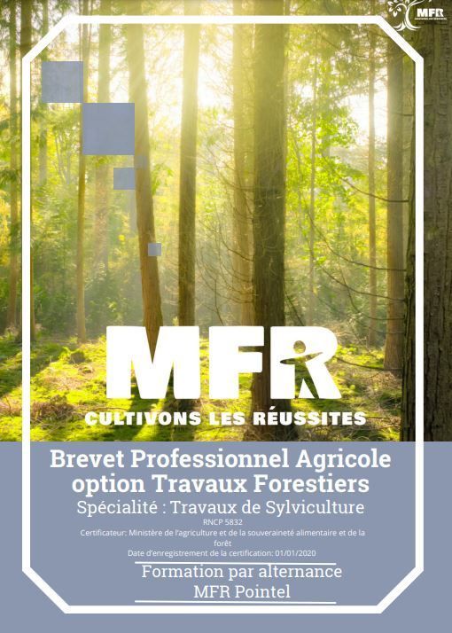 Affiche : logo MFR, image de forêt et détails sur un programme de formation aux travaux forestiers.