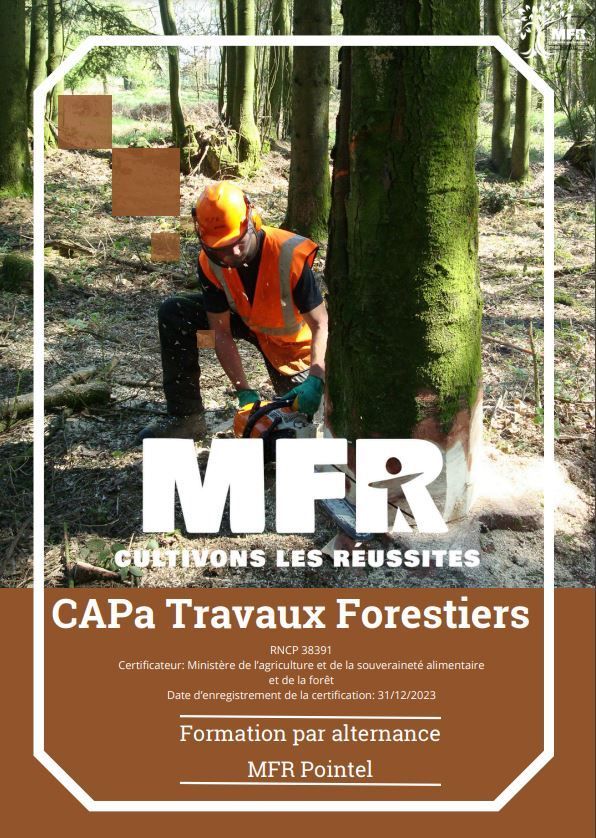 Ouvrier en gilet orange coupant un arbre à la tronçonneuse, en milieu forestier, avec texte de formation MFR et CAPa.