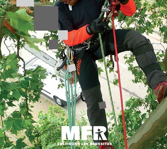 Arboriste en tenue de sécurité, grimpant à un arbre. Manches orange vif, pantalon noir. Logo du fabricant en bas.