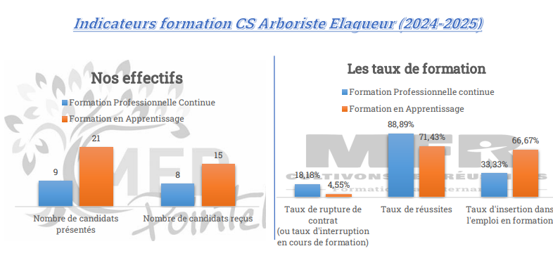 Tableaux explicatifs Indicateurs formation CS Arboriste Elagueur (2024/2025)
