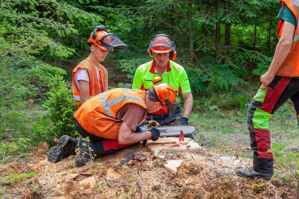 Trois personnes portant des équipements de sécurité utilisent une tronçonneuse sur une bûche en forêt.