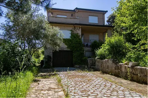 Casa de dos plantas con hiedra, camino de entrada de piedra y árboles frondosos en un día soleado.