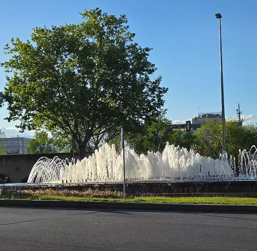 Gran fuente de agua en un parque junto a un árbol en un día soleado.