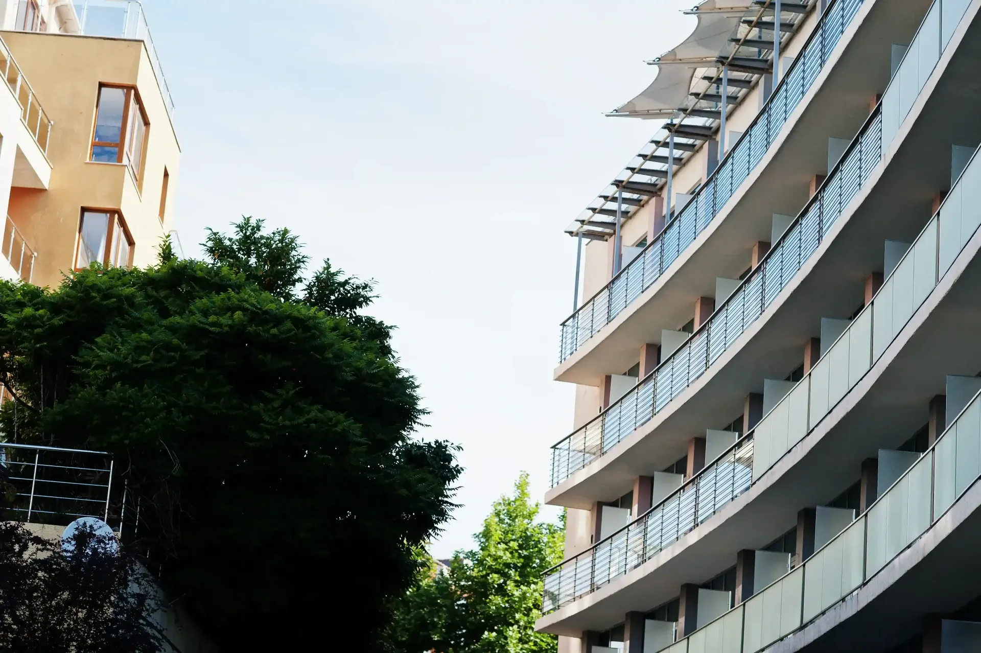 Balcones curvos de apartamentos junto a un árbol frondoso bajo un cielo brillante.