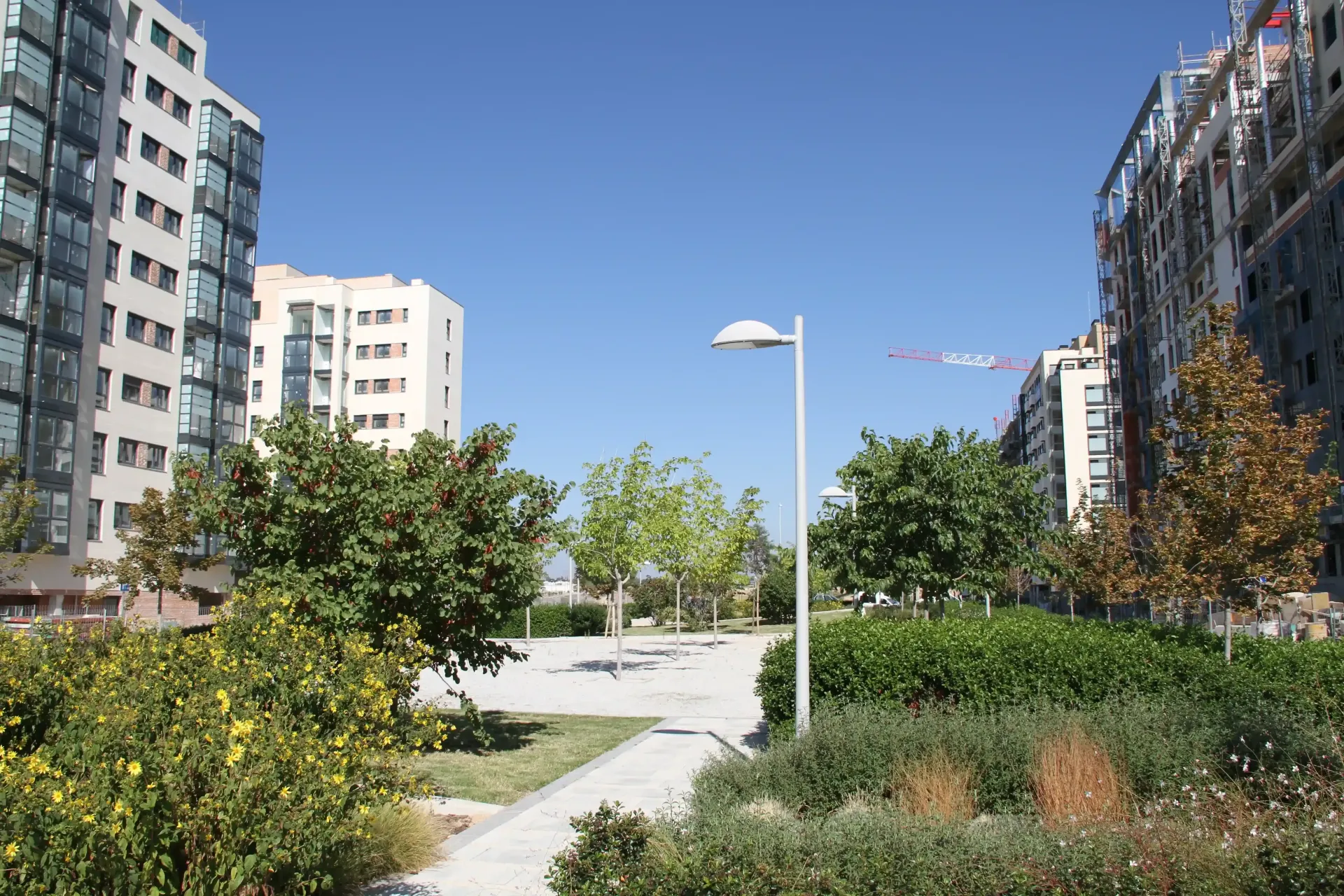 Edificios de apartamentos modernos junto a un sendero ajardinado con árboles, arbustos y farolas bajo un cielo azul despejado.